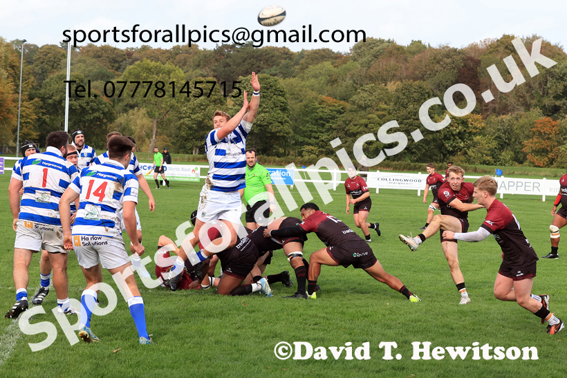 Tynedale v Rossendale, 2025 Tynedale Park, Corbridge, October 4th. Photo: David T. Hewitson/Sports for All Pics